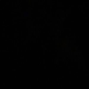 Meet your Posher, Jami